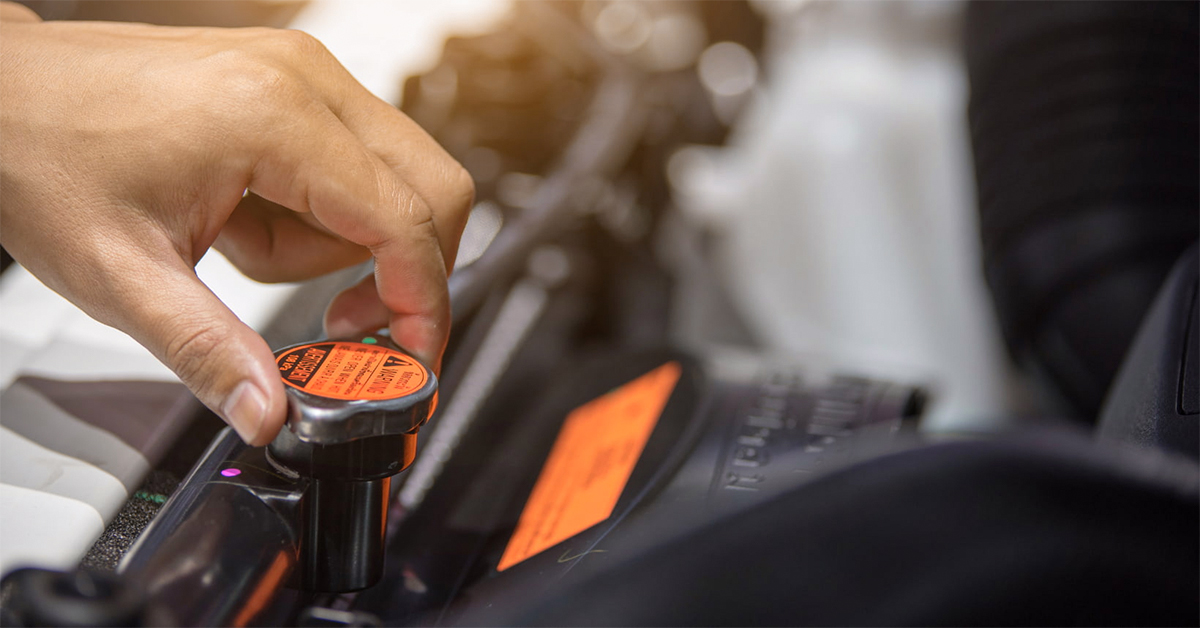 �������� ��� ���������