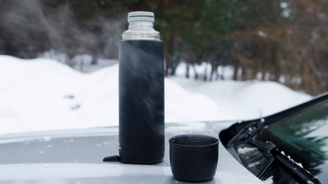 Термос на капоті авто