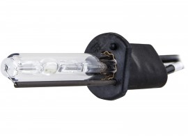 Infolight Лампа ксенонова Infolight H1 12V 50W 5000K