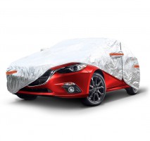 ���� ������������ ��� ������ AMiO L, 01111