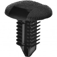 ����� �������� ������� (���) 9046708186