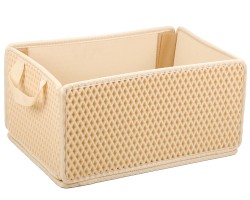 Органайзер в багажник EVA EasyboX, бежевий (Kinetic)