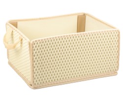 Органайзер в багажник EVA EasyboX, молочний (Kinetic)