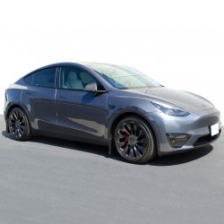 ���������� ���� ��� Tesla Model Y '20-, Premium (WELLvisors)
