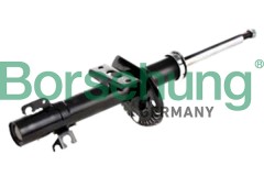 ����������� �������� Borsehung B12138
