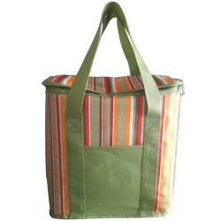 Изотермическая сумка Carface зеленая, 20 л