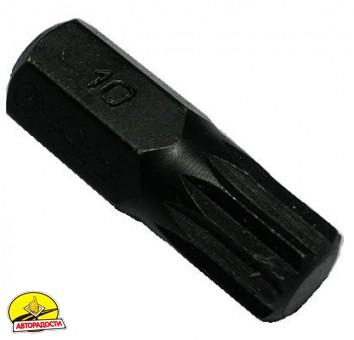 ���� 30��. Spline M10 10�� (5 ��/��)