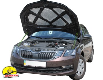     Skoda Octavia A7 '13-, 2 .