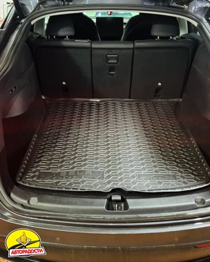 ������� � �������� ��� Tesla Model Y '20-, 5 ����, ����-����������� (AVTO-Gumm)