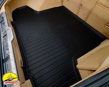 ������� � �������� ��� Renault Megane 2 '02 -08, ���������, �������, Dry-Zone (Frogum)