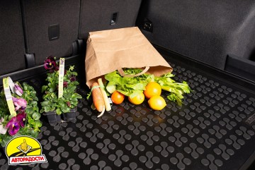 ������� � �������� ��� Renault Megane 2 '02-08 �������, �������, ������ (Rezaw-Plast)