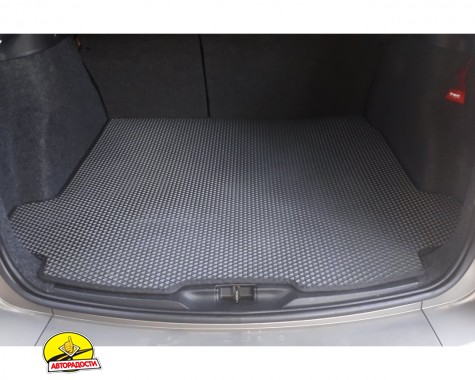 ������� � �������� ��� Renault Megane '02-08, ���������, EVA, ������ (Kinetic)