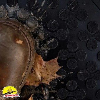 Килимки в салон для Peugeot 208 '19- (ДВЗ), гумові, чорні (Rezaw-Plast)