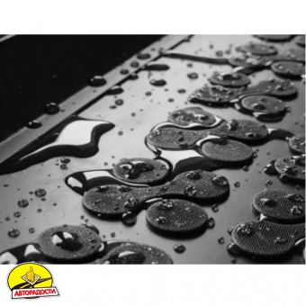 Килимки в салон для Peugeot 208 '19- (ДВЗ), гумові, чорні (Rezaw-Plast)