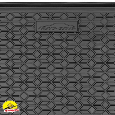 ������� � �������� ��� BYD Song Plus EV '20-, ����-����������� (AVTO-Gumm)